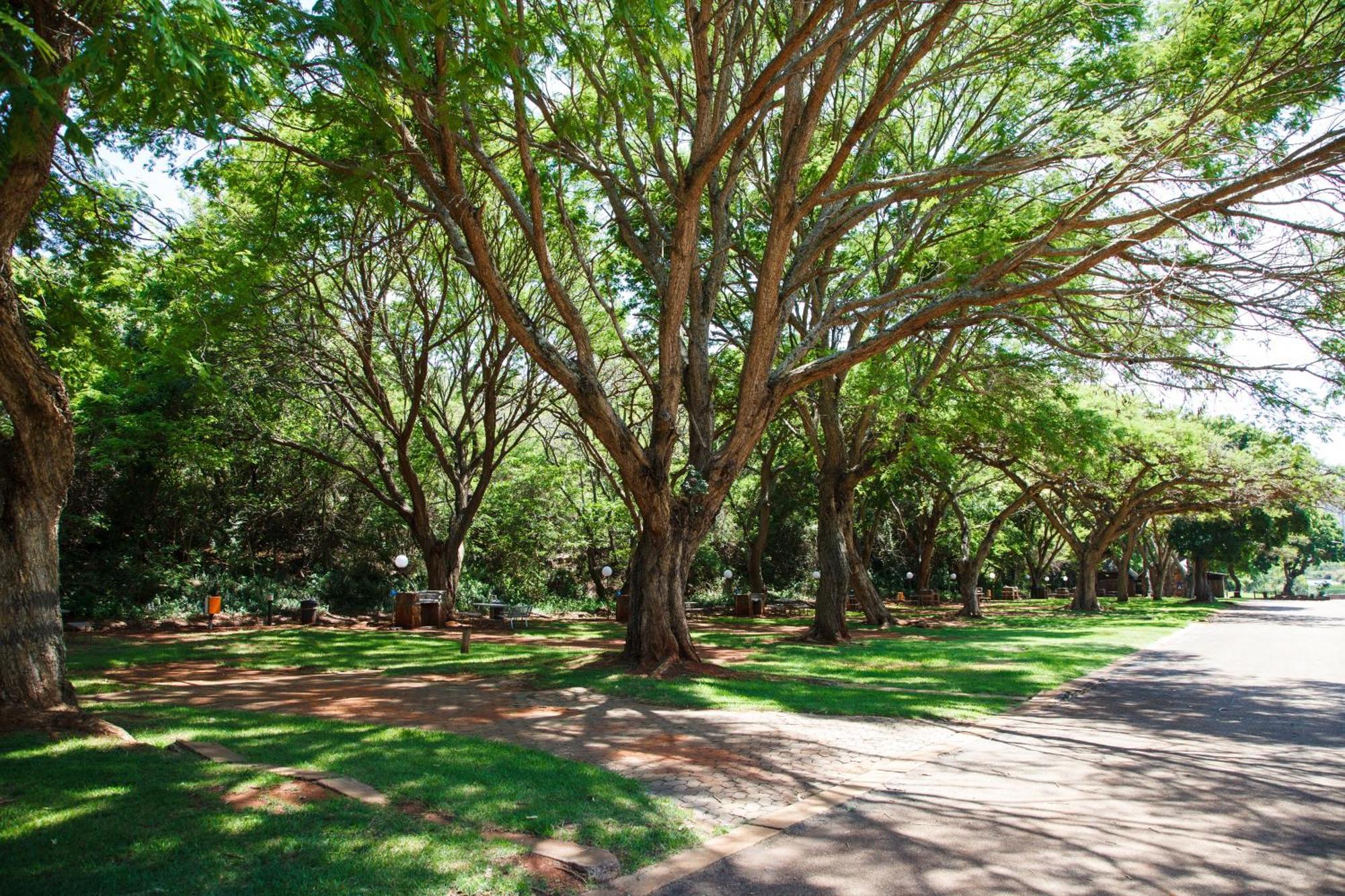 Blyde Canyon, A Forever Resort Matibidi Ngoại thất bức ảnh